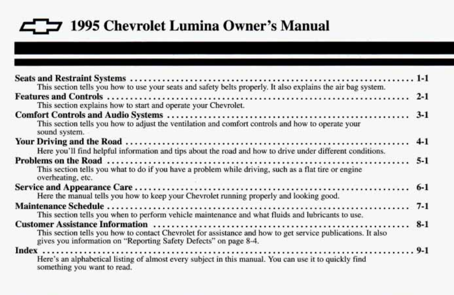 1995 Chevrolet Lumina Image