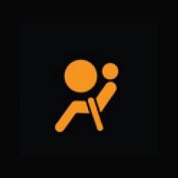 Indicator for airbag