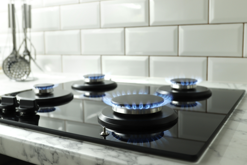 Gas and Electric Stove : Which is Best for Kitchen? - OWNERMANUAL.CO