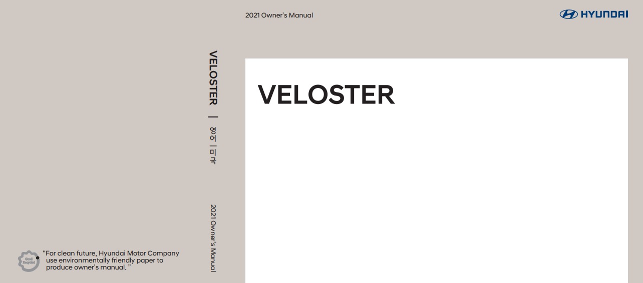2021 Hyundai Veloster Owner’s Manual Image